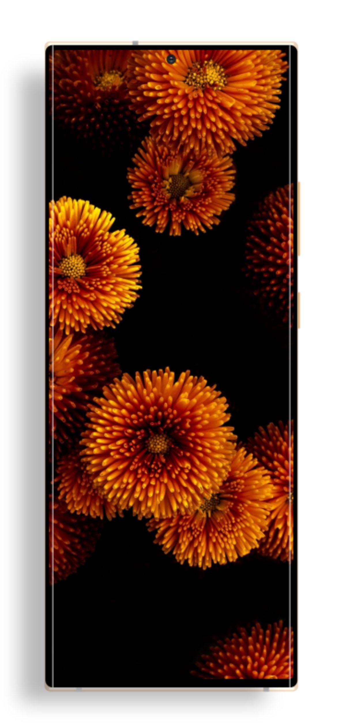 23:9 Ekranlı ’Kumandadan Bozma’ Telefonların Nasıl Görüneceğini Gösteren Konsept