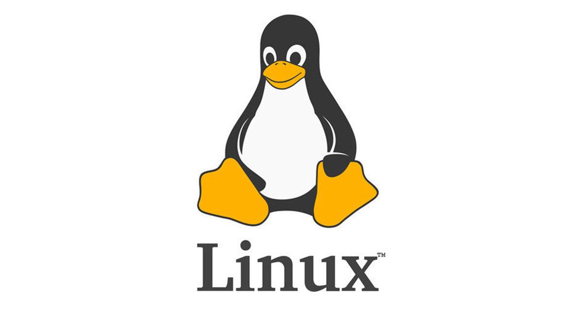 Linux Nedir, Ne İşe Yarar, Kimler Kullanır?