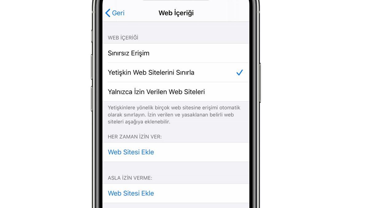 İnternet Sitesi Engelleme Nasıl Yapılır?