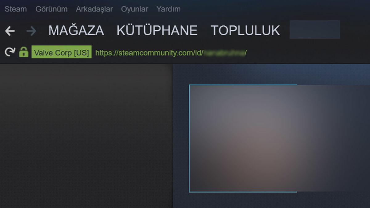 Steam ID’nizi Nasıl Öğrenebilir ve Özelleştirebilirsiniz?