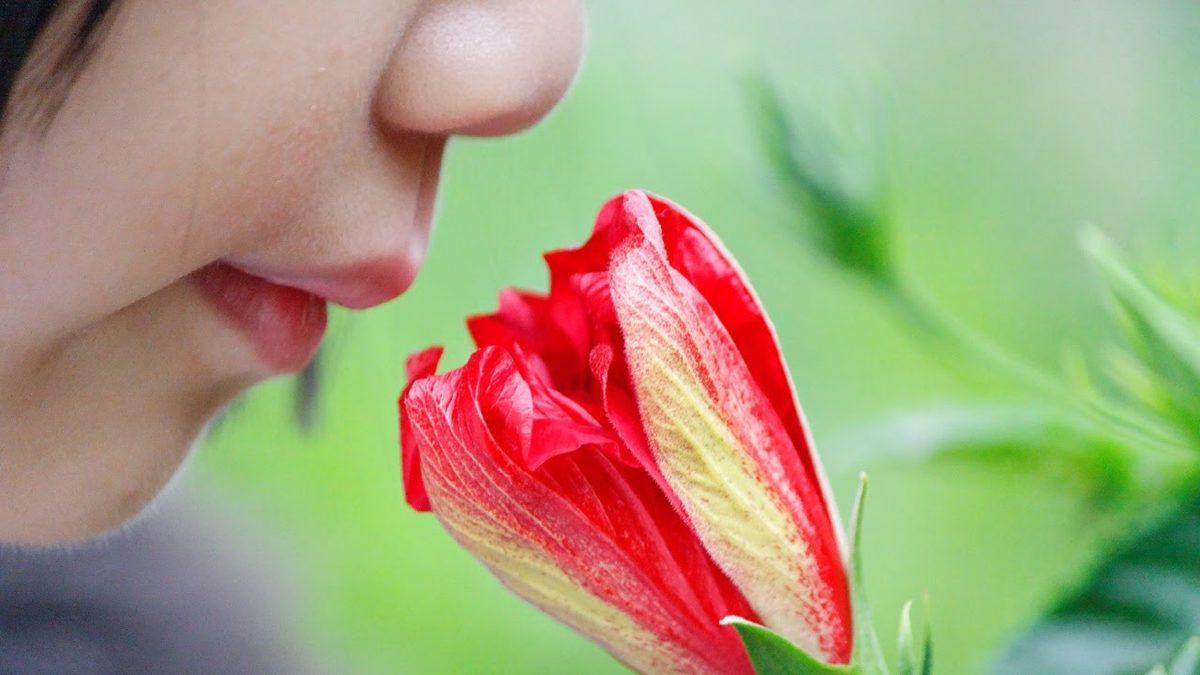 Hiç Şakası Olmayan Koronavirüs (Covid-19) Belirtileri