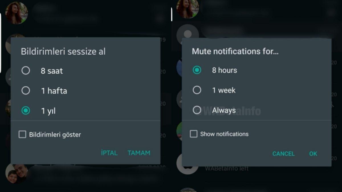 WhatsApp’a Nihayet Sohbetleri Kalıcı Olarak Sessize Alma Özelliği Geliyor