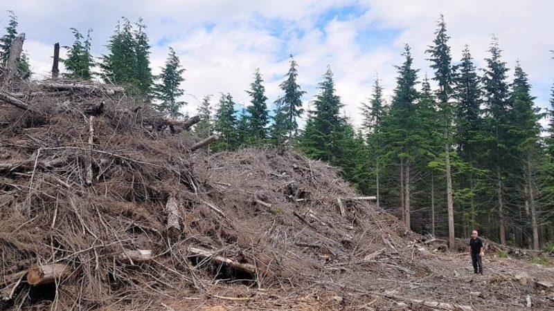 Bilim İnsanlarına Göre Medeniyetimiz Yüzde 90 İhtimalle Çok Yakında Çökecek