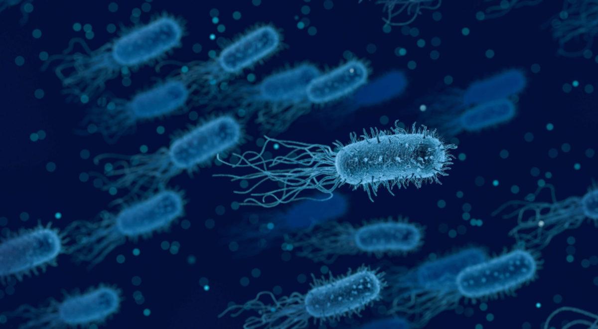 Bilim İnsanları, Denizde Buldukları 100 Milyon Yıllık Mikropları Diriltti