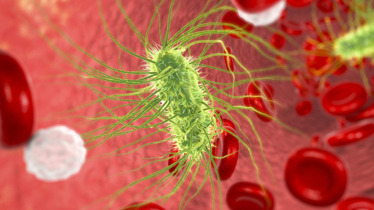 Bilim İnsanları, Denizde Buldukları 100 Milyon Yıllık Mikropları Diriltti