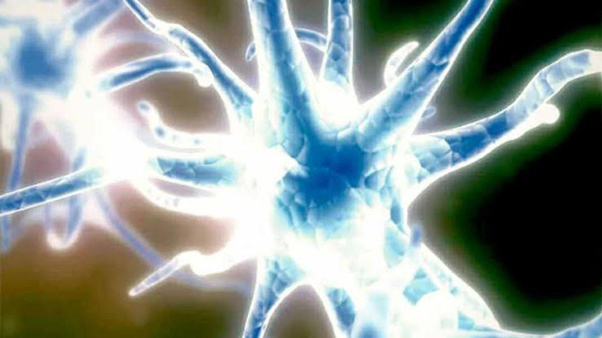 Beynimiz Çalışırken Ne Kadar Enerji Harcıyor?