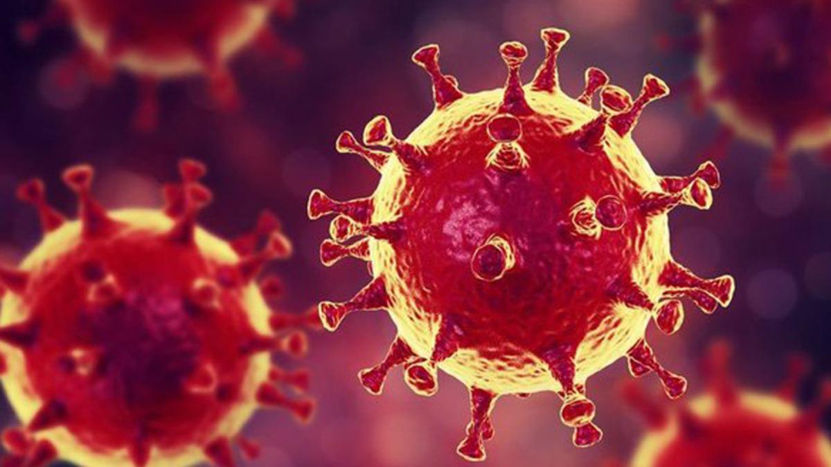 DSÖ’ye Göre Bugün, Koronavirüs Vaka Sayılarında Yeni Bir Rekor Kırıldı