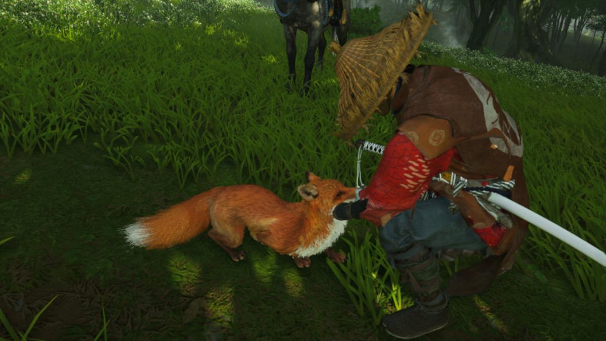 Ghost of Tsushima Oyuncularının Hayvan Sevgisini Gösteren İstatistik