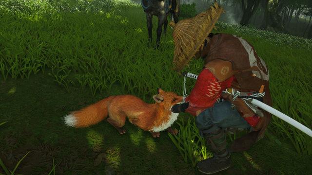 Ghost of Tsushima Oyuncularının Hayvan Sevgisini Gösteren İstatistik