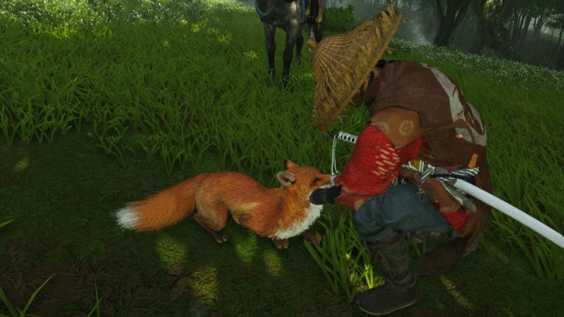 Ghost of Tsushima Oyuncularının Hayvan Sevgisini Gösteren İstatistik