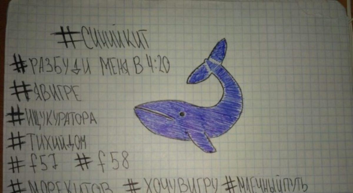 Türkiye’deki 150 Gencin İntiharında ’Mavi Balina’ Şüphesi Var