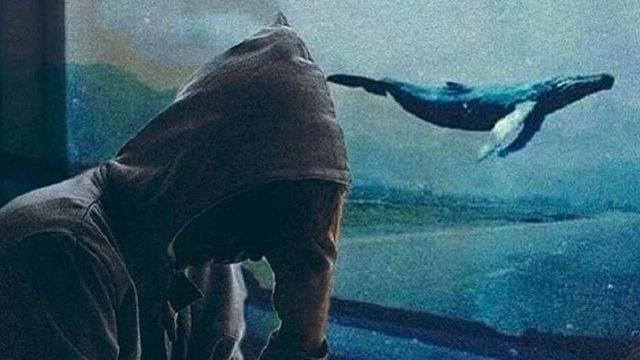 Türkiye’deki 150 Gencin İntiharında ’Mavi Balina’ Şüphesi Var