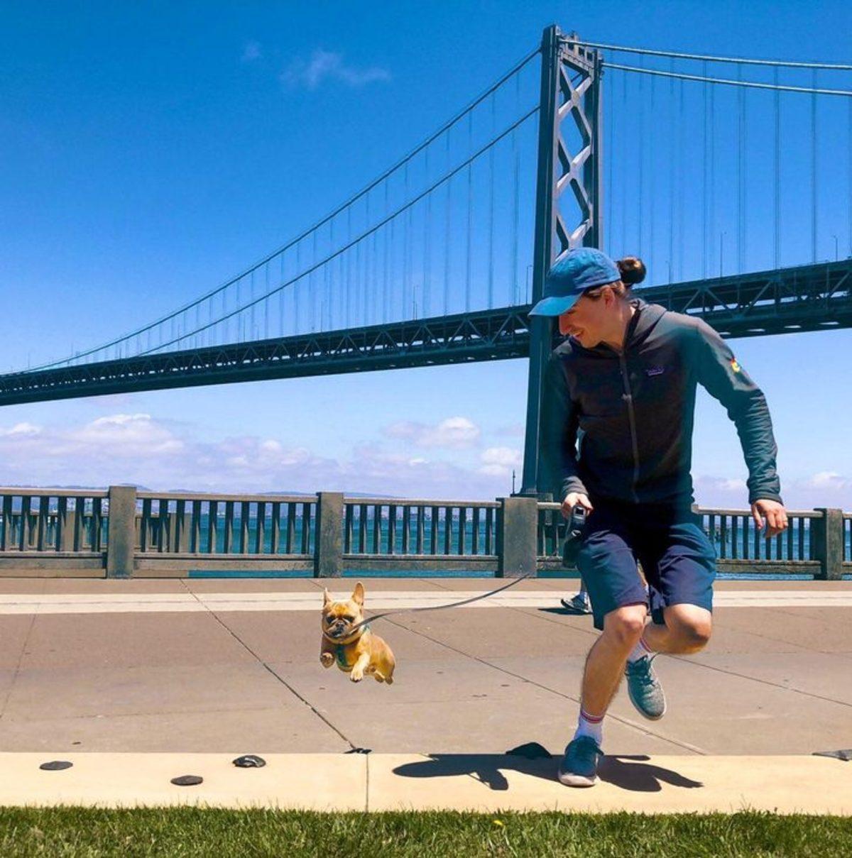 Zamanlama Becerisiyle Kendine Hayran Bırakan 11 Fotoğraf