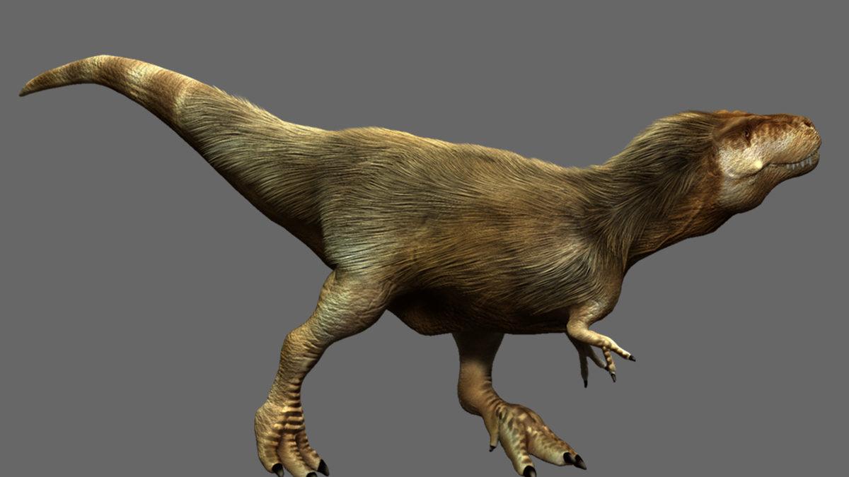 Güney Kutbu’nda Yaşamış Tüylü Dinozorların İlk Kanıtları Bulundu