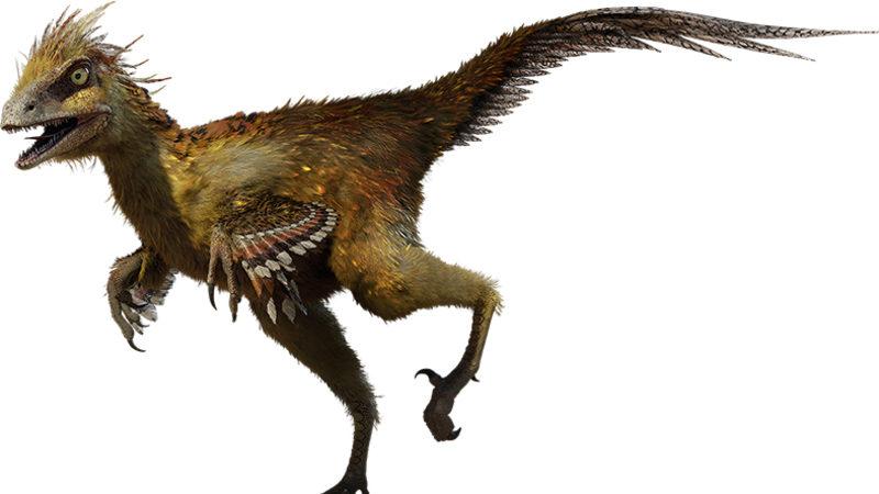 Güney Kutbu’nda Yaşamış Tüylü Dinozorların İlk Kanıtları Bulundu