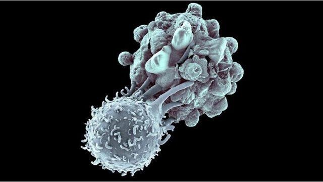 Bazı COVID-19 Vakalarının Neden Hiçbir Belirti Göstermediği Açıklandı