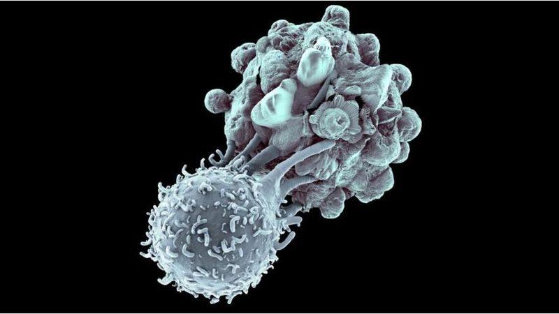 Bazı COVID-19 Vakalarının Neden Hiçbir Belirti Göstermediği Açıklandı