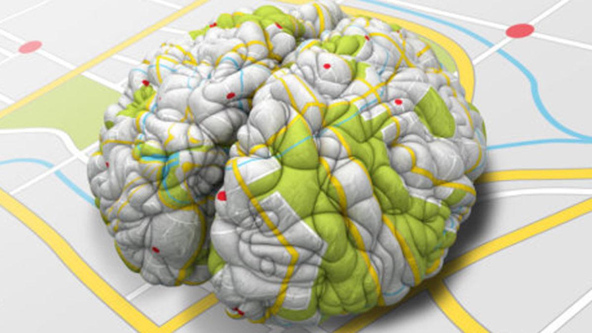 İnsan Beyninde Anıları Haritalayan Spesifik Nöronlar Keşfedildi