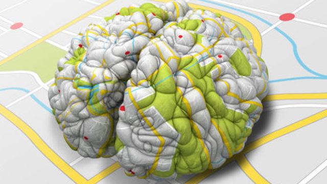 İnsan Beyninde Anıları Haritalayan Spesifik Nöronlar Keşfedildi