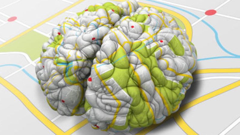 İnsan Beyninde Anıları Haritalayan Spesifik Nöronlar Keşfedildi