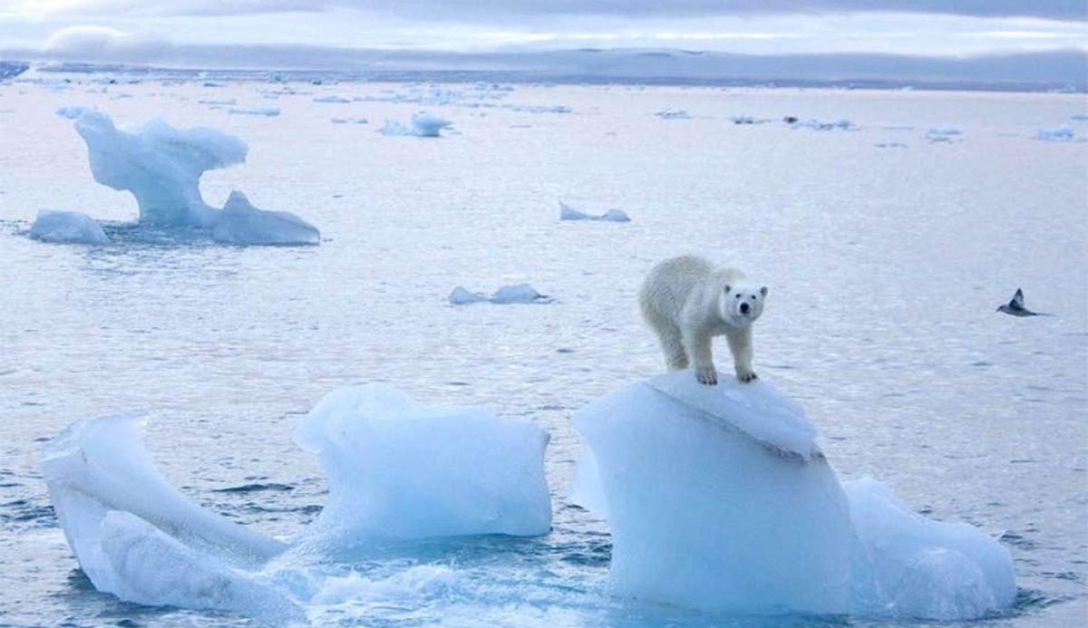 Kuzey Kutbu’nun En Kalın Buzu Hızla Eriyor
