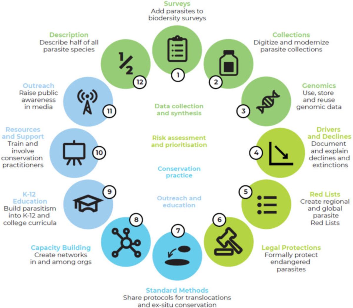 Bilim İnsanları, Parazitler Tamamen Yok Olmadan Önce Harekete Geçmemiz Gerektiğini Söyledi