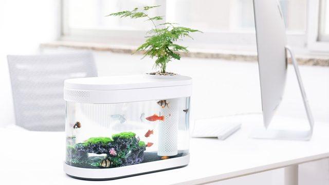 Xiaomi, Powerbank ile Şarj Olabilen Yeni Nano Akvaryumunu Tanıttı