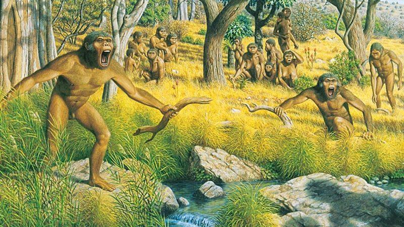 4 Milyon Yıl Önce Yaşayan Bir Maymun Irkı, İnsanlardan Daha Akıllıymış