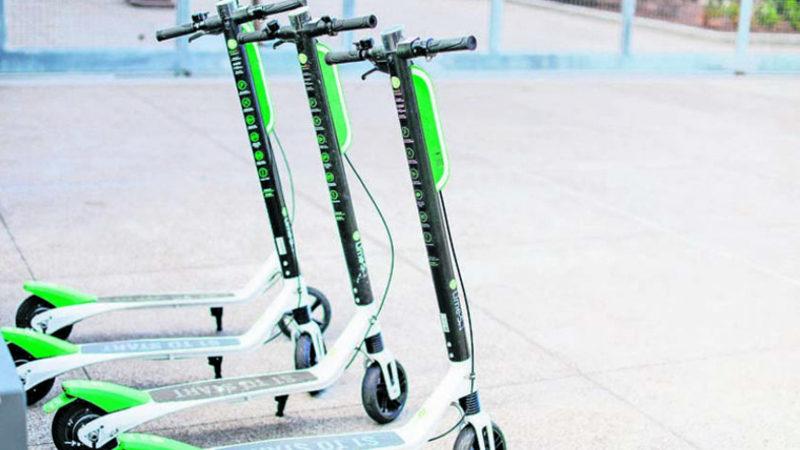 İBB’den ’Martı’ Yönetmeliği: Plaka Zorunluluğu ve Zam Geliyor