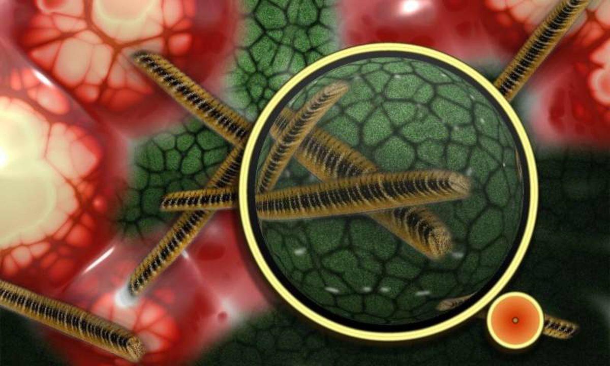 Bilim İnsanları, İnsan Vücudunda Yeni Bir Virüs Keşfetti