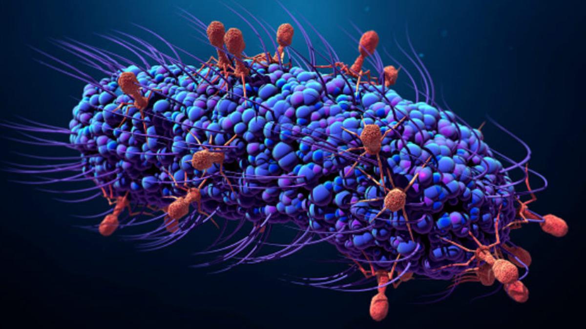 Bilim İnsanları, İnsan Vücudunda Yeni Bir Virüs Keşfetti
