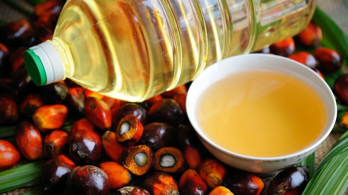 Palm Yağı ve Zararları Nedir, Hangi Gıdalarda Bulunur?