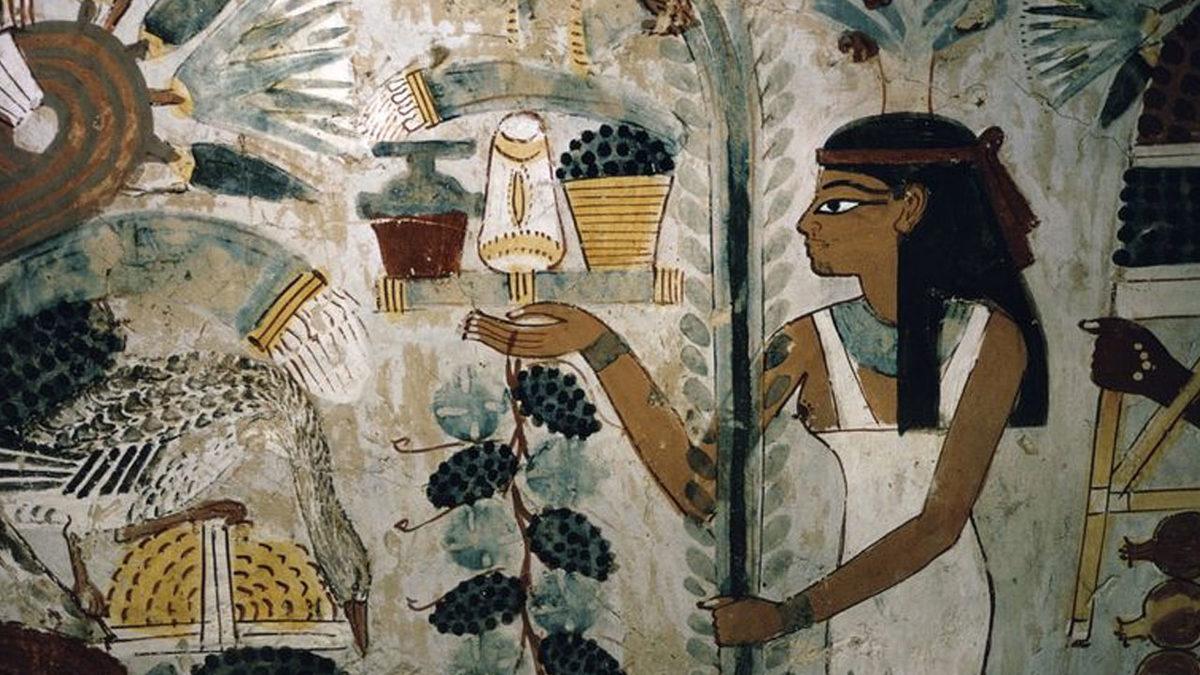 Palm Yağı ve Zararları Nedir, Hangi Gıdalarda Bulunur?