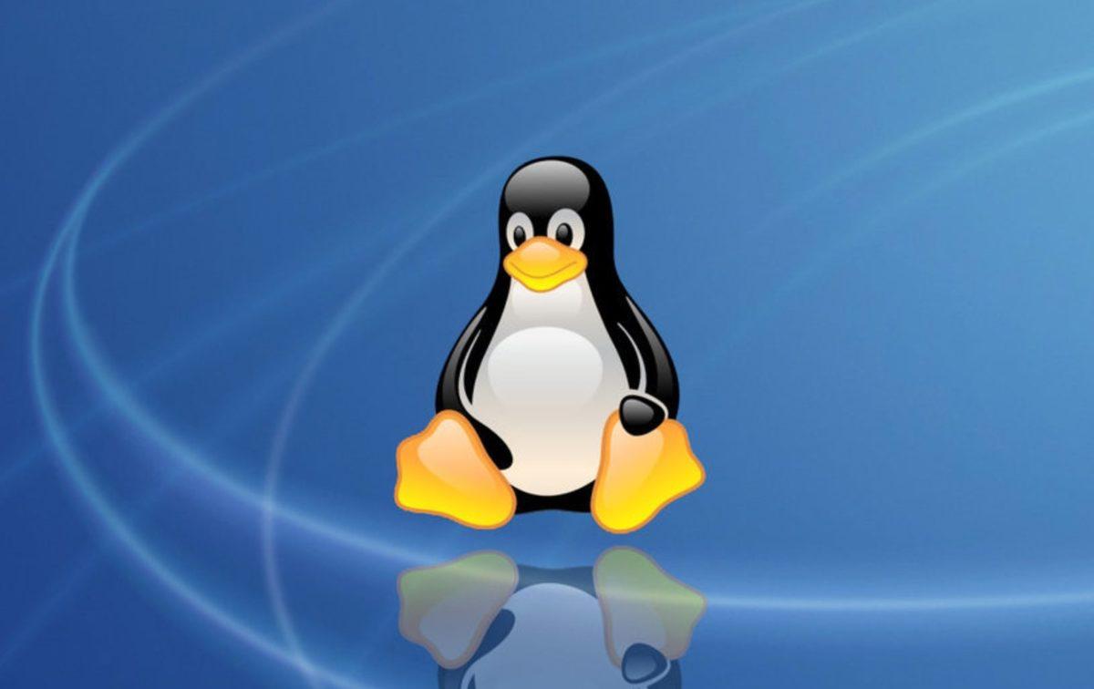 Bugüne Kadarki En Büyük Linux Versiyonlarından Olan Linux 5.8 Yayınlandı