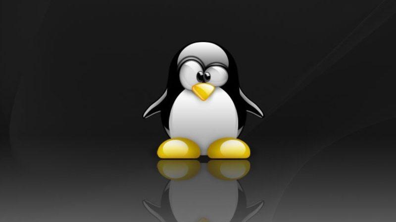 Bugüne Kadarki En Büyük Linux Versiyonlarından Olan Linux 5.8 Yayınlandı