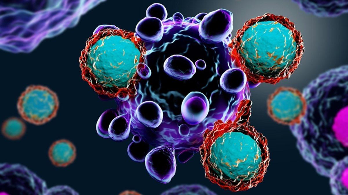 Süper Yaşlıların Nasıl Uzun Yaşadıkları Ortaya Çıktı