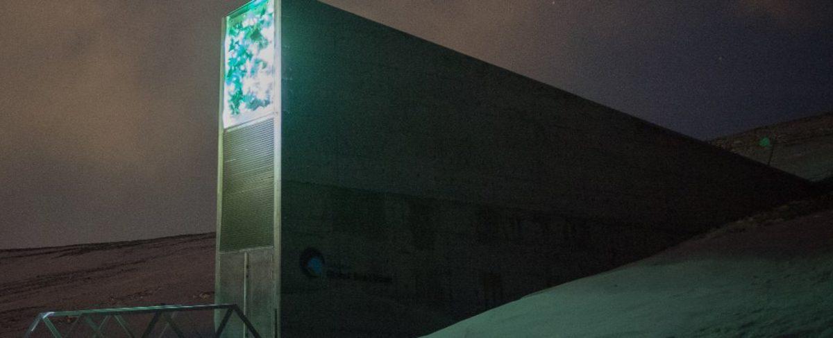 Microsoft, GitHub’daki Tüm Verileri Bir ’Kıyamet Sonrası Kasası’na Kopyaladı