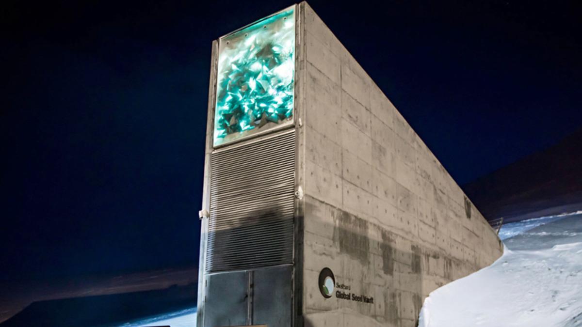 Microsoft, GitHub’daki Tüm Verileri Bir ’Kıyamet Sonrası Kasası’na Kopyaladı