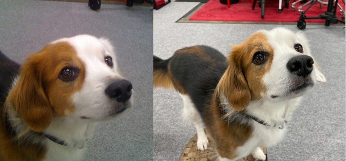 18 Yıl Önce Bugün Tanıtılan İlk iPhone’un Bugün Kulaklara Şaka Gibi Gelen 9 Özelliği