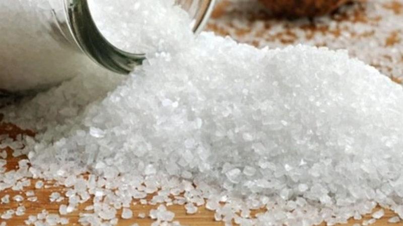 Google’daki Endişe Verici Arama Sonuçları: Siyanür Kelimesini En Çok Hangi İl Aradı?