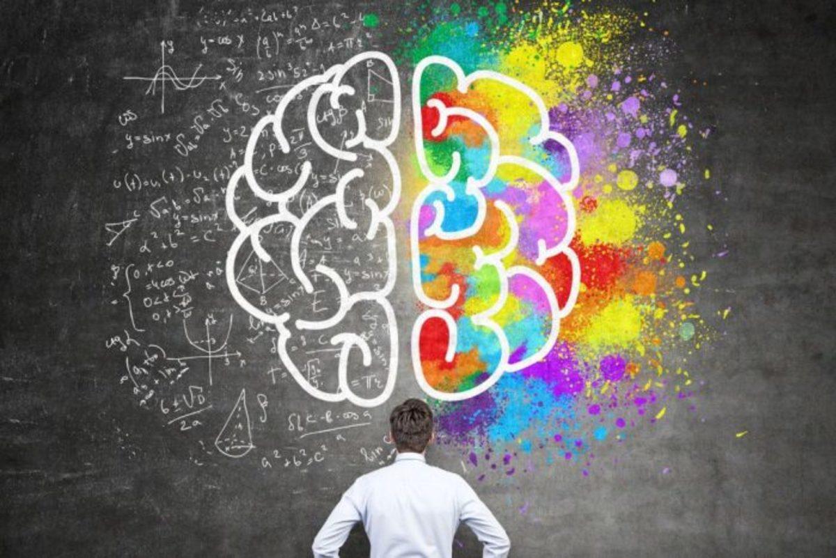 Üniversite Tercihleri Yapılırken Dikkat Edilmesi Gereken 15 Önemli Detay