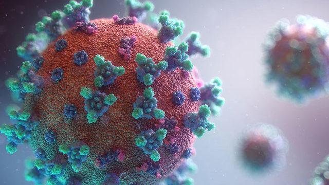 Araştırmacılar, Koronavirüs İçin Aşı Yerine Burun Spreyi Geliştirmeye Çalışıyor