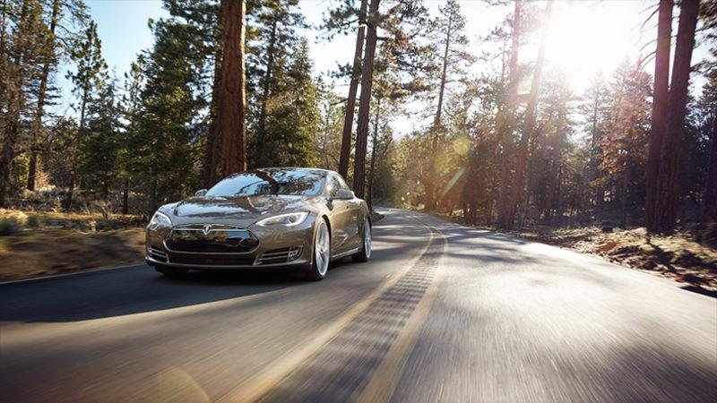 Tesla, Gigafactory 4’ü İnşa Etmek İçin Bir Ormanı Yok Etti (Çözüm Açıklandı)