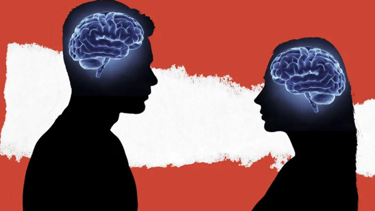 Erkek Beyni ve Kadın Beyni Şeklinde Bir Olgu Var mı? Bilim Bu Konuda Ne Diyor?