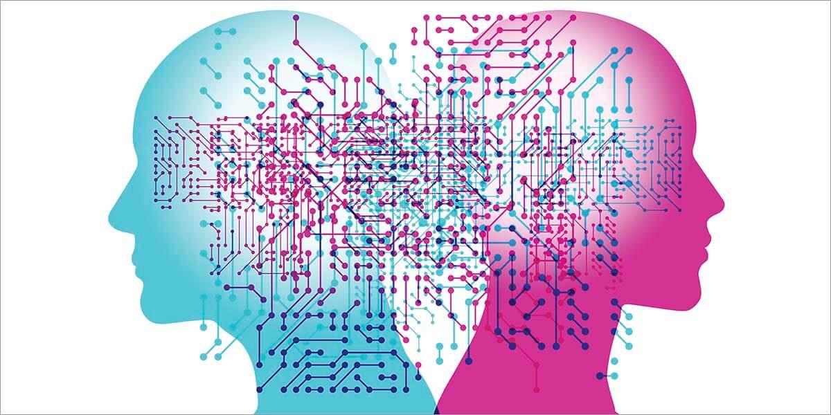 Erkek Beyni ve Kadın Beyni Şeklinde Bir Olgu Var mı? Bilim Bu Konuda Ne Diyor?