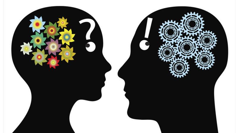 Erkek Beyni ve Kadın Beyni Şeklinde Bir Olgu Var mı? Bilim Bu Konuda Ne Diyor?