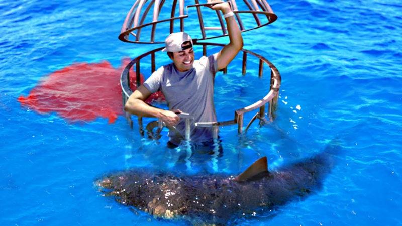 Bir YouTuber’dan Cesaret İsteyen ‘Köpek Balıklarını Memeli Kanı mı Yoksa Balık Kanı mı Çeker?’ Deneyi