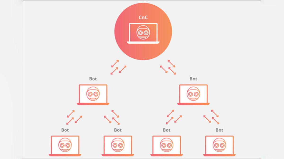 Instagram’ın Yeni Özelliği Reels’ta Sahte İzlenme ve Beğeni Satışları Başladı