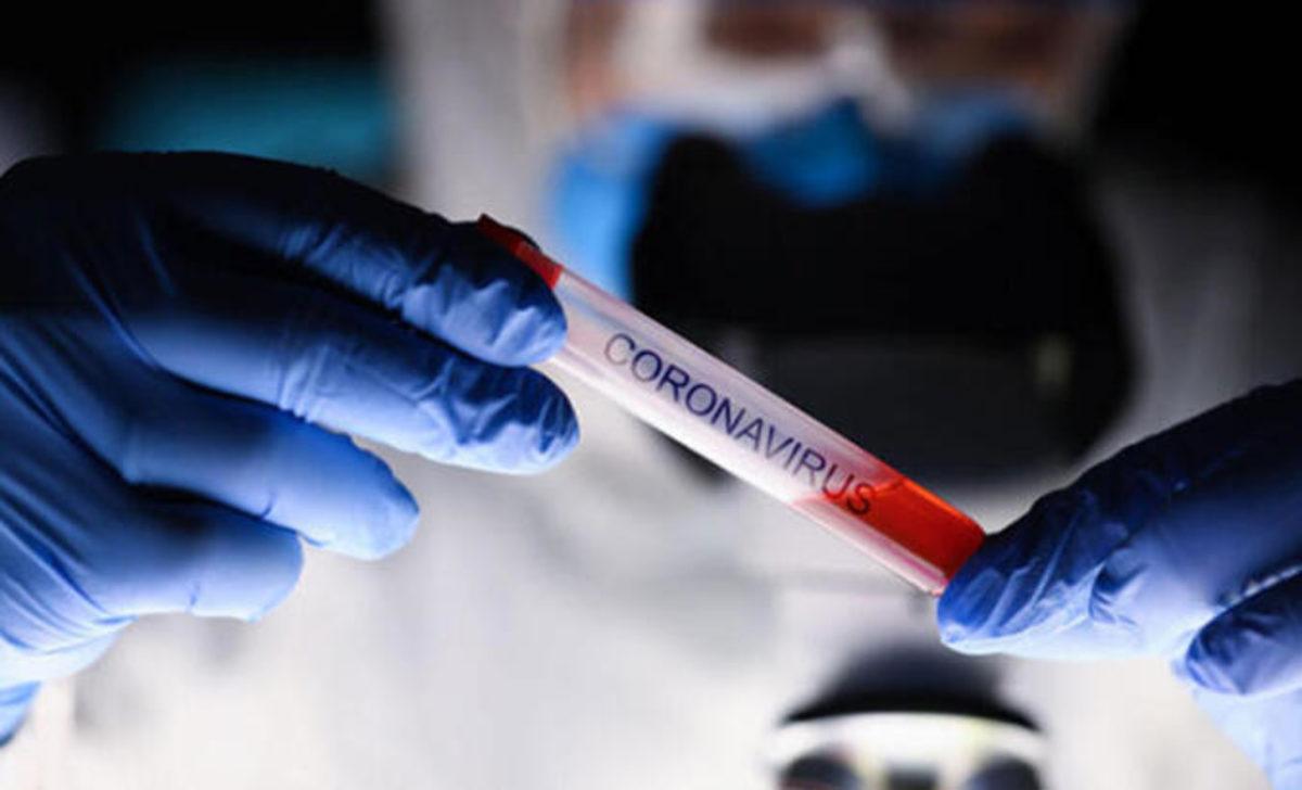 TÜBİTAK Başkanı, Yerli Koronavirüs Aşısı İçin Beklenen Tarihi Açıkladı