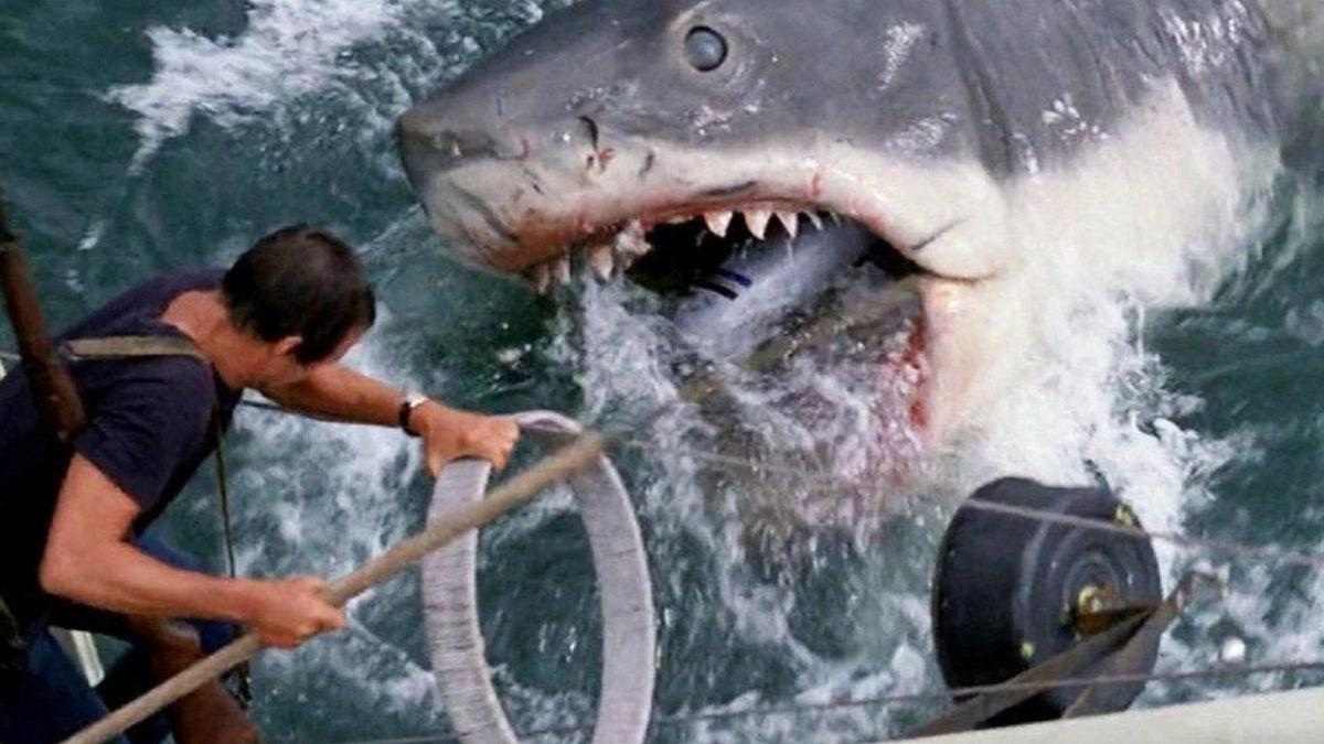 Yerden Yere Vurulsa da Devamı Gelen ve Darphane Gibi Para Basan 11 Popüler Film Serisi